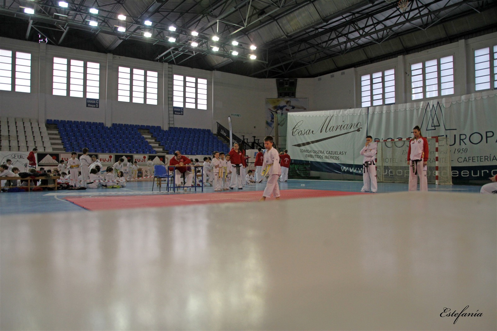 Taekwondo (165).jpg